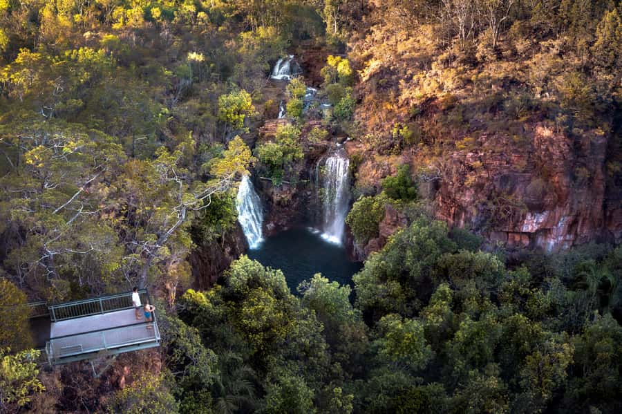 From Darwin: Litchfield National Park Day Trip - Fogg Dam, wetlands, and the crocodile choice