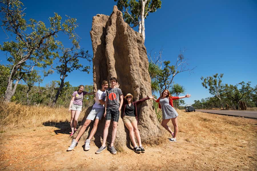 From Darwin: Litchfield National Park Full Day Tour - The road out of Darwin and the air-conditioned ride