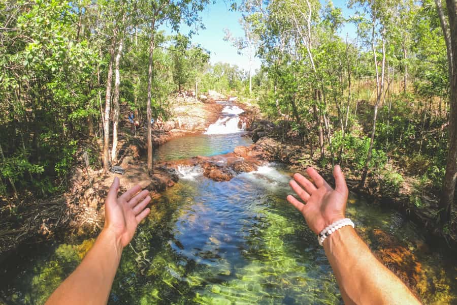 From Darwin: Litchfield National Park Full Day Tour - Choosing between crocodiles and Fogg Dam