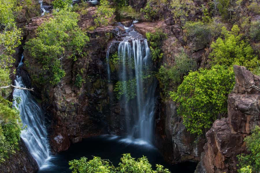 From Darwin: Litchfield National Park Full Day Tour - The magnetic termite mounds, a clever piece of natural engineering