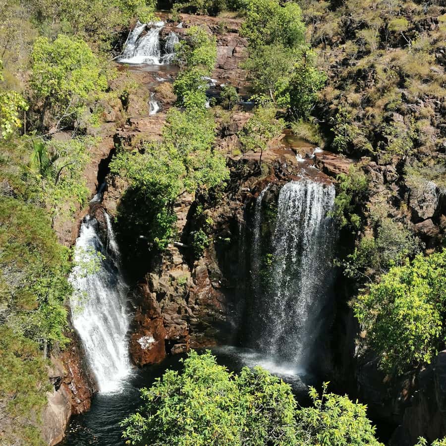 From Darwin: Litchfield National Park Small-Group Day Trip - Batchelor and the road into the park