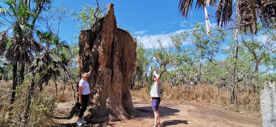From Darwin: Litchfield National Park Small-Group Day Trip - Small-group transport and the morning drive