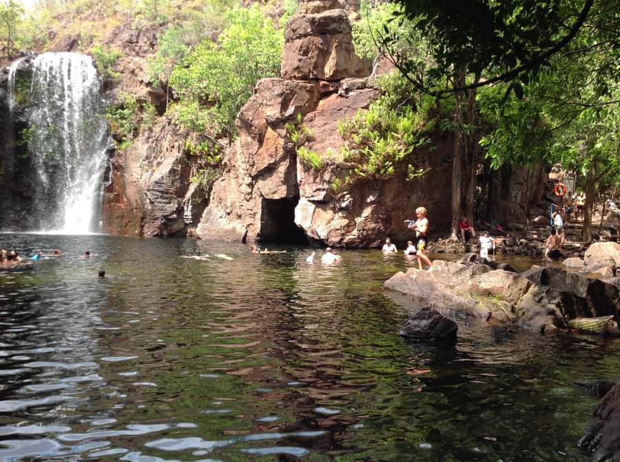 From Darwin: Litchfield Park Tour & Jumping Crocodile Cruise - Wangi Falls brings the first swim