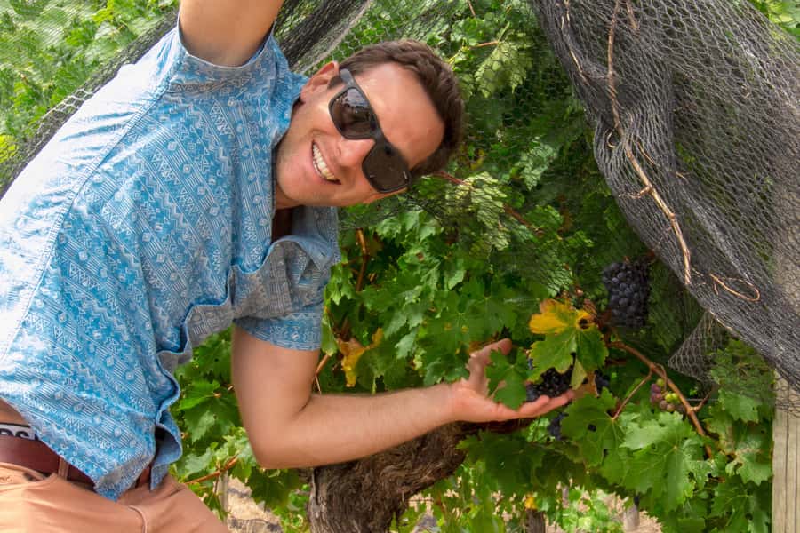 From Dunsborough/Busselton: Margaret River Wine Adventure - A wine day with more to do than taste