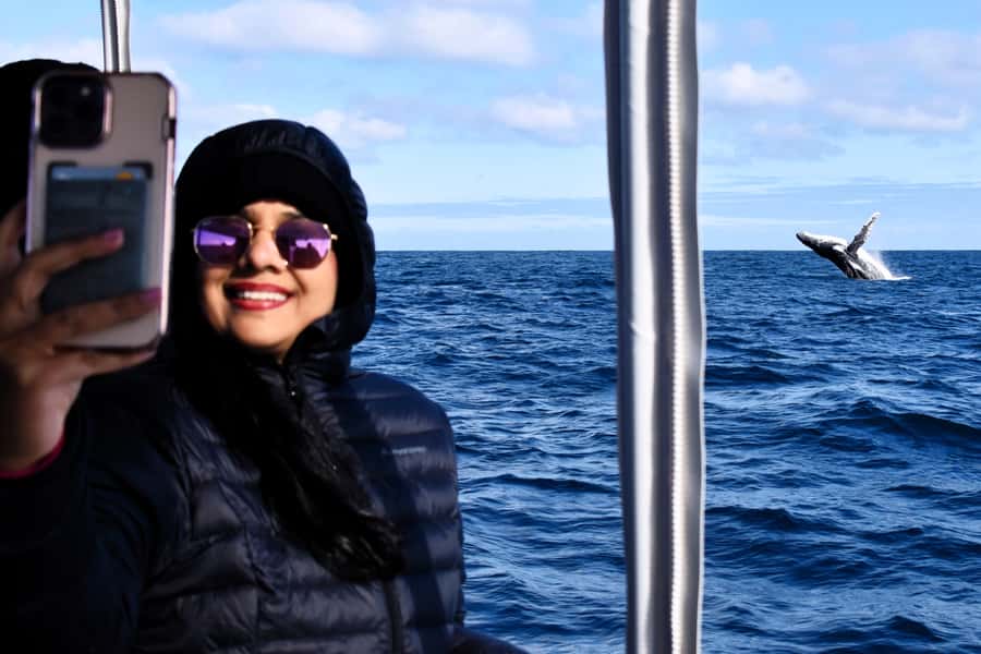 From Fremantle: 2-Hour Luxury Whale-Watching Cruise - What the two-hour cruise is really like