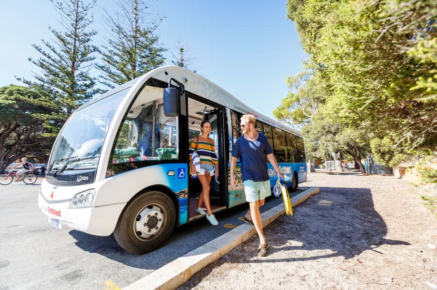 From Fremantle: Rottnest Island Ferry & Bus Day Tour - Why the coach makes sense on a hot Rottnest day
