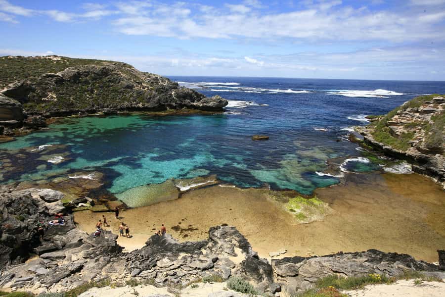 From Fremantle: Rottnest Island Ferry & Bus Day Tour - Starting at Fremantle’s Victoria Quay