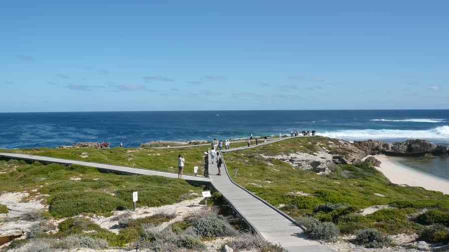 From Fremantle: Rottnest Island Ferry & Bus Day Tour - What the 90-minute island circuit shows you