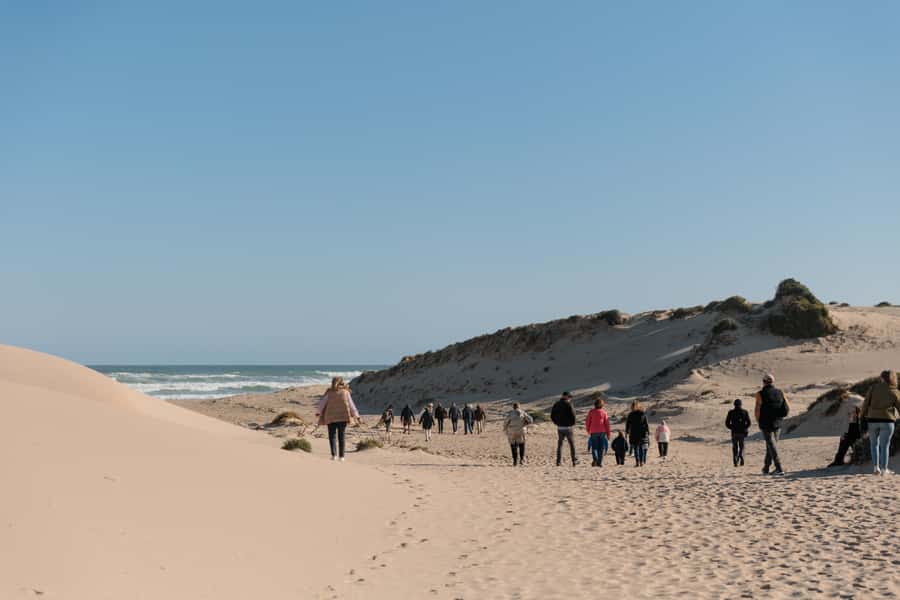From Goolwa: Half-Day Coorong Experience - Who will enjoy this Coorong trip?