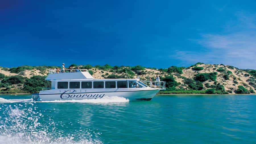 From Goolwa: Murray Mouth Cruise - The Goolwa Barrage Lock Is the Tour’s Best Lesson