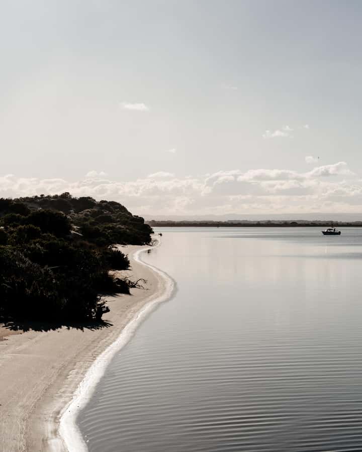 From Goolwa: Murray Mouth Cruise - Is $42 Good Value for 90 Minutes?