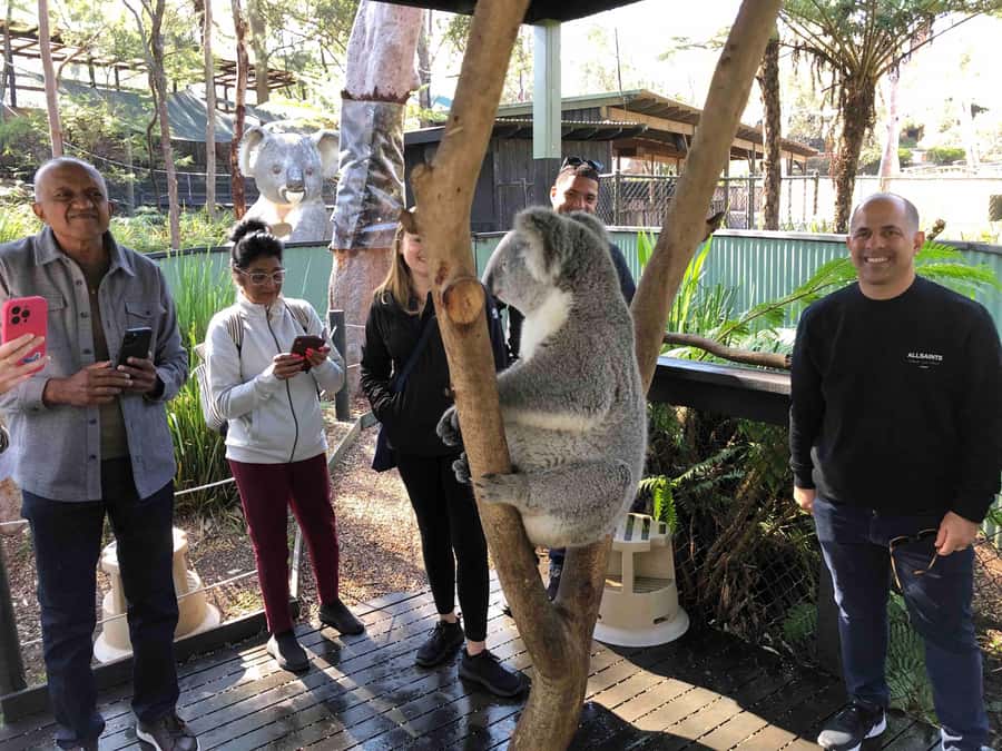 From Haymarket: Hunter Valley Wine and Wildlife Day Trip - Why this Hunter Valley day trip works