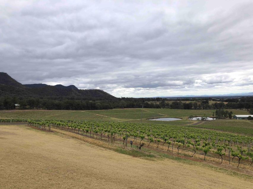 From Haymarket: Hunter Valley Wine and Wildlife Day Trip - Should you book the Hunter Valley wildlife and wine trip?