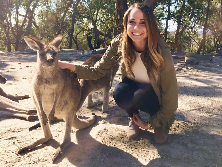 From Haymarket: Hunter Valley Wine and Wildlife Day Trip - Meeting the koalas and kangaroos