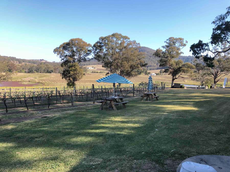 From Haymarket: Hunter Valley Wine and Wildlife Day Trip - Lunch with a vineyard view, or bring your own