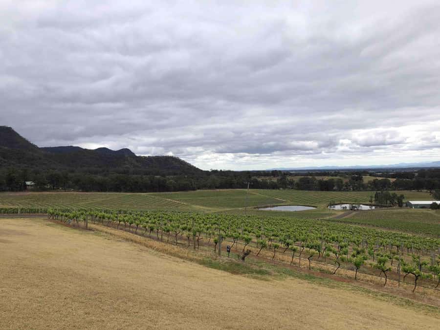 From Haymarket: Hunter Valley Wine and Wildlife Day Trip - Practical value and booking advice