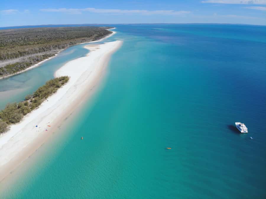From Hervey Bay: Half-Day K'gari Fraser Island Beach Cruise - A quiet Kgari day rather than a full island tour