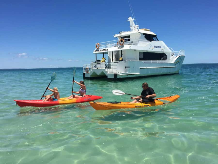From Hervey Bay: Half-Day K'gari Fraser Island Beach Cruise - Making your own beach day