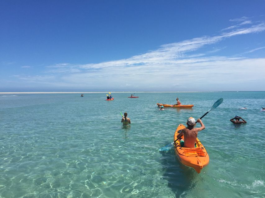 From Hervey Bay: Half-Day K'gari Fraser Island Beach Cruise - A good fit for mixed groups