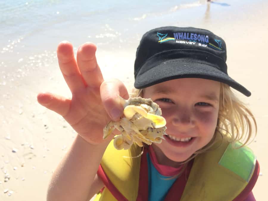 From Hervey Bay: Half-Day K'gari Fraser Island Beach Cruise - How the five hours are likely to feel