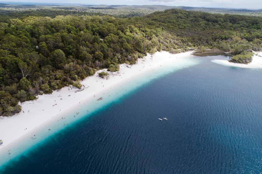 From Hervey Bay: K'gari, Fraser Island Full-Day Coach Tour - Starting in Hervey Bay and crossing to Kgari