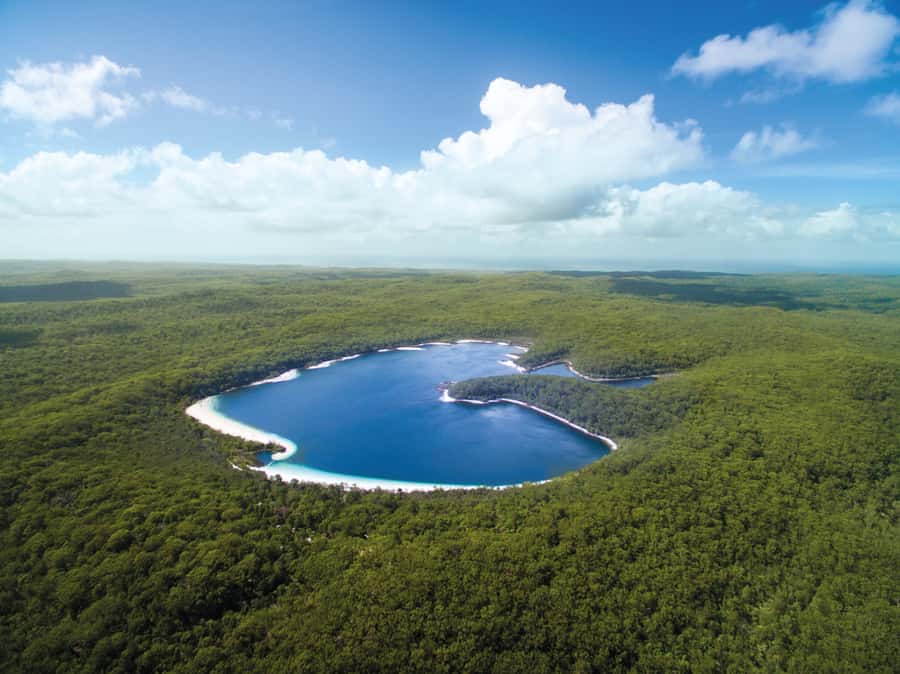 From Hervey Bay: K'gari, Fraser Island Full-Day Coach Tour - Driving 75 Mile Beach to the Maheno Shipwreck