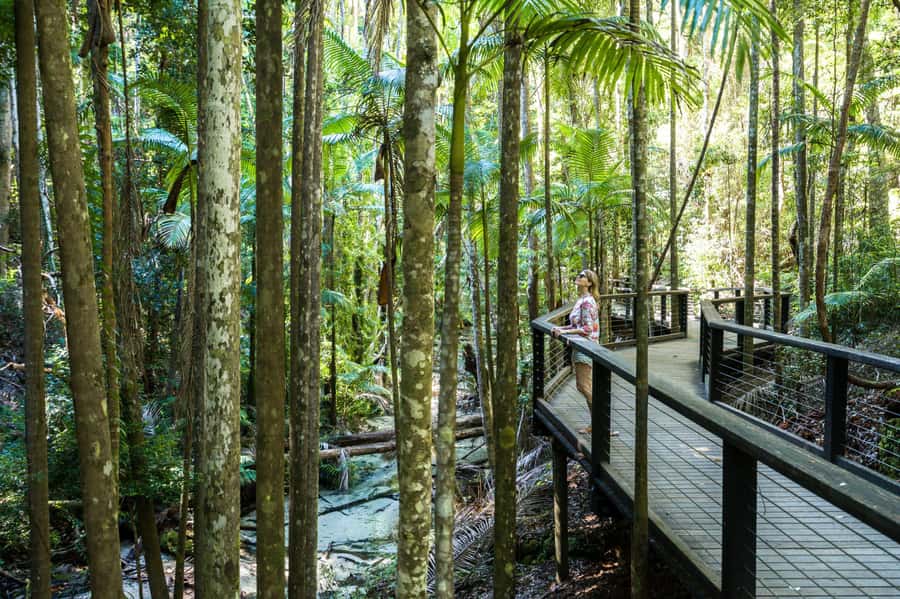 From Hervey Bay: K'gari, Fraser Island Two-Day Coach Tour - Why two days works better than a quick island visit