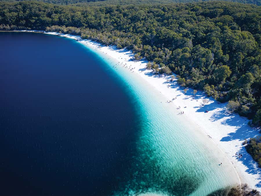 From Hervey Bay: K'gari, Fraser Island Two-Day Coach Tour - Lake McKenzie is the island’s classic swim