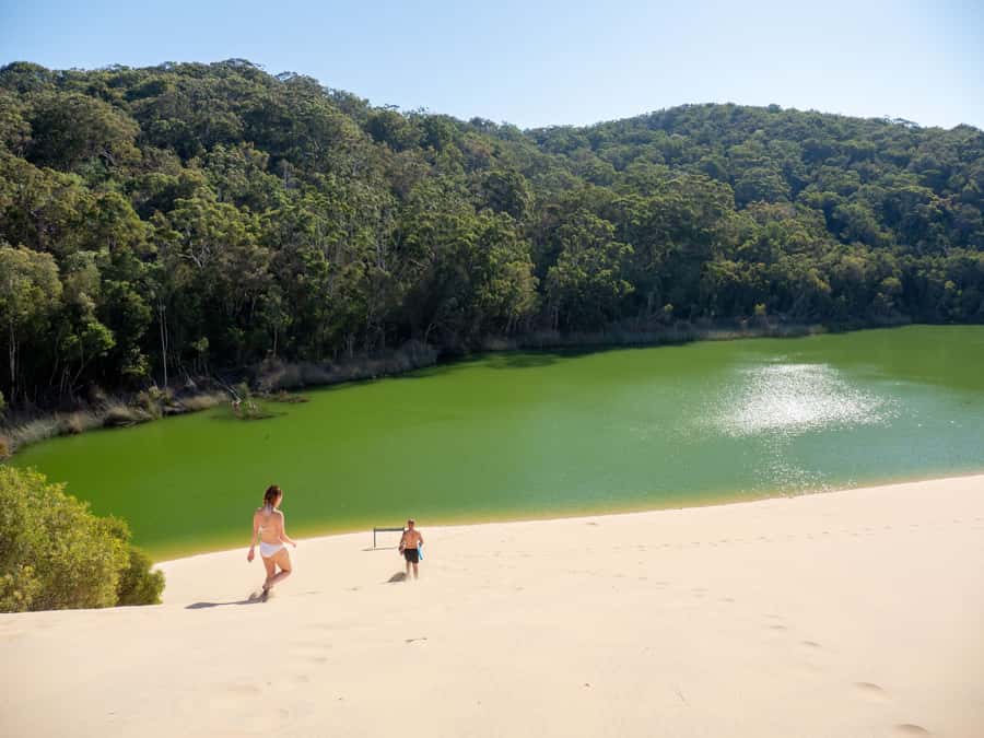 From Hervey Bay: K'gari Getaway Three-day 4WD Coach Tour - Pile Valley shows a different side of the island