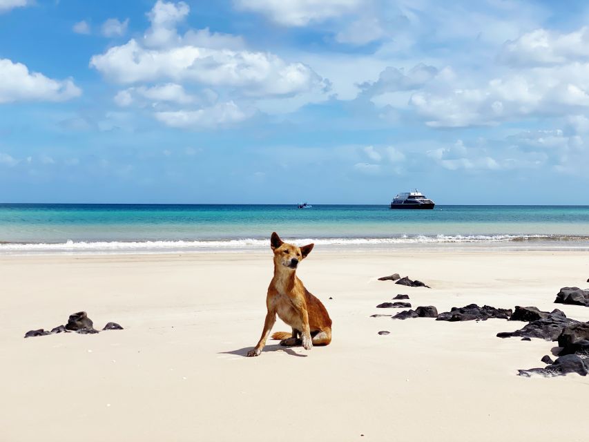 From Hervey Bay: Remote K'gari Tour by Boat with Lunch - Lunch aboard the boat