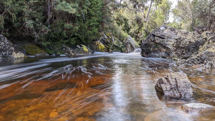 From Hobart: 5-Day Tasmania West & East Coast Tour - Day two: Henty Dunes and the rainforests near Strahan