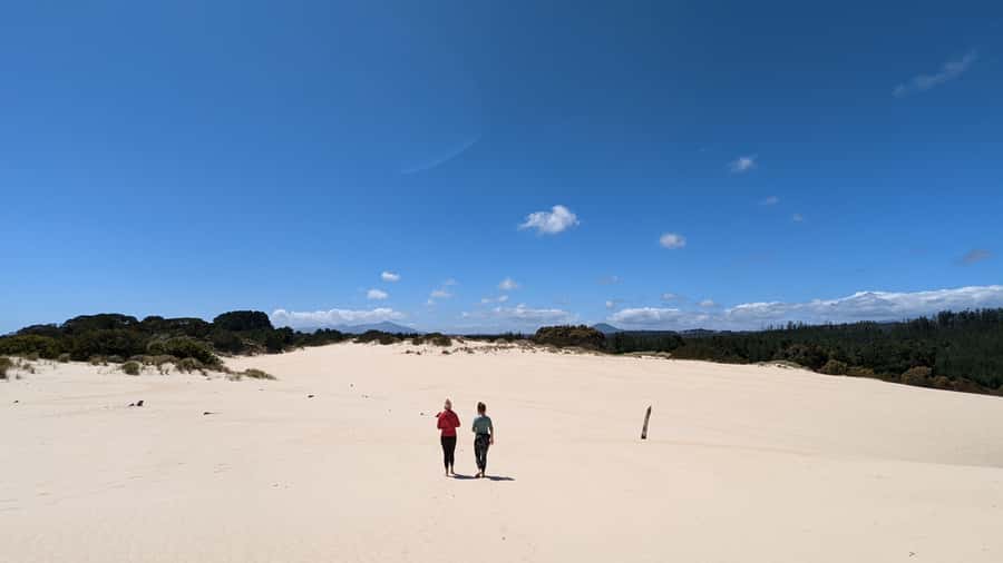 From Hobart: 5-Day Tasmania West & East Coast Tour - Who will enjoy this Tasmania tour most