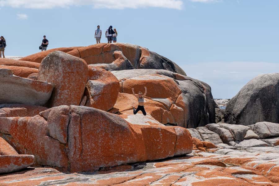 From Hobart: 5-Day Tasmania West & East Coast Tour - Day one: Russell Falls, Lake St Clair, and Strahan