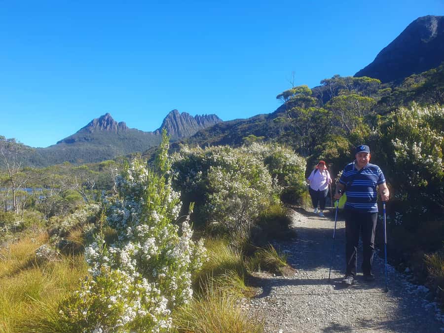 From Hobart: Active Day Trip to Cradle Mountain - Dinner before the return to Hobart