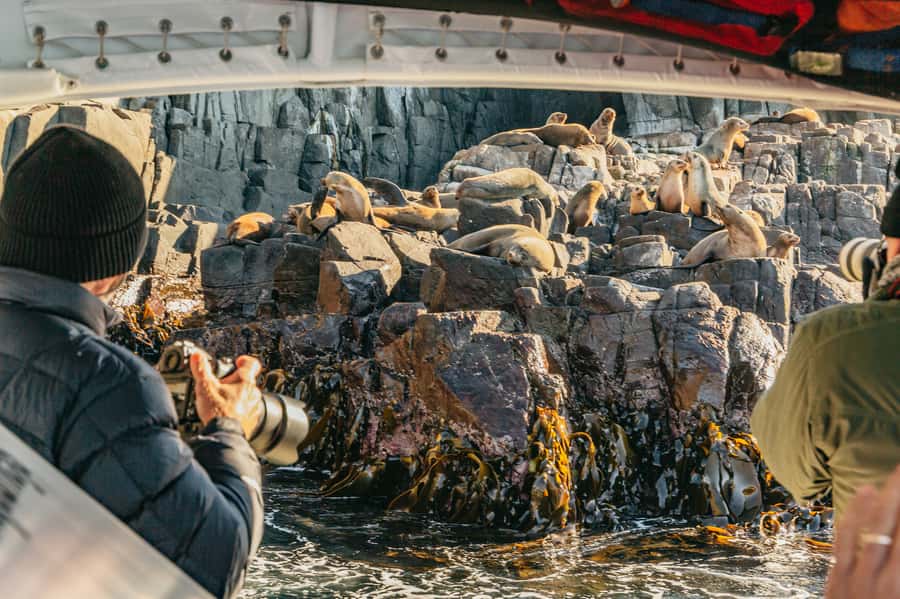 From Hobart/Adventure Bay: Bruny Island Wilderness Cruise - Key points at a glance