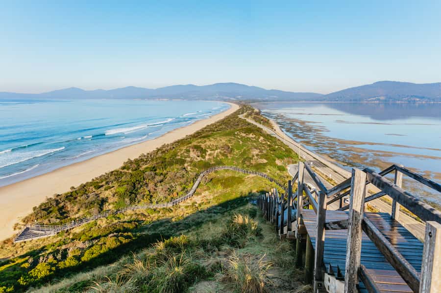 From Hobart/Adventure Bay: Bruny Island Wilderness Cruise - Why this Bruny Island cruise is worth your time