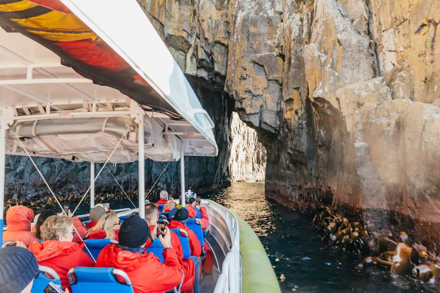 From Hobart/Adventure Bay: Bruny Island Wilderness Cruise - The boat ride: open air, fast, and exposed