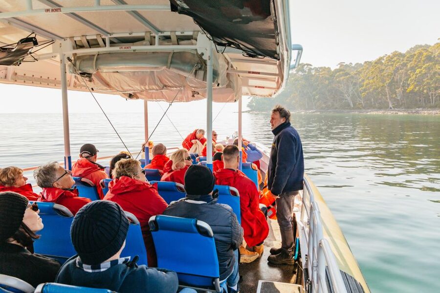 From Hobart/Adventure Bay: Bruny Island Wilderness Cruise - The Friars and Bruny Island wildlife