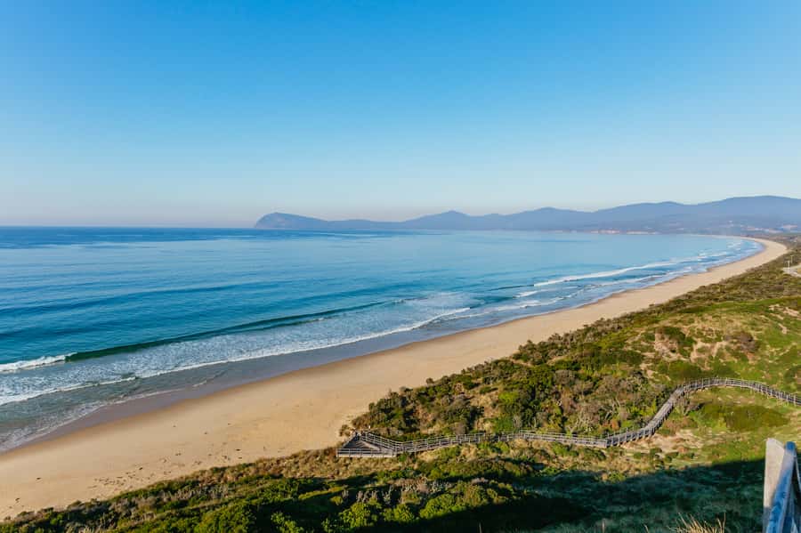 From Hobart/Adventure Bay: Bruny Island Wilderness Cruise - What happens after the cruise