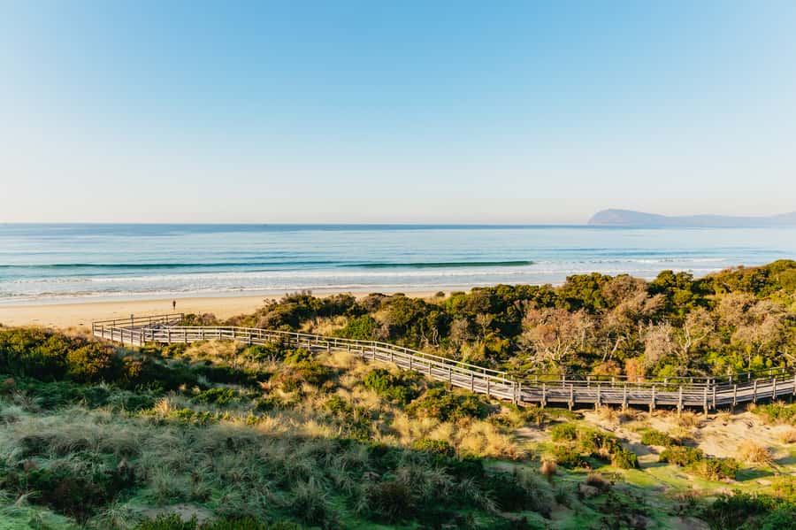 From Hobart/Adventure Bay: Bruny Island Wilderness Cruise - How much value do you get for $127?