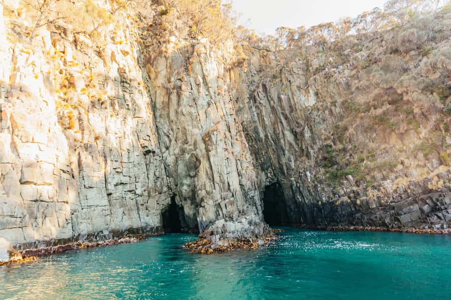 From Hobart/Adventure Bay: Bruny Island Wilderness Cruise - Choosing between Hobart and Bruny Island departures