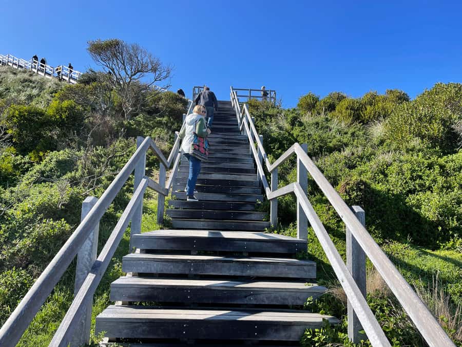 From Hobart: Bruny Island Nature & Produce Adventure Tour - Key points at a glance