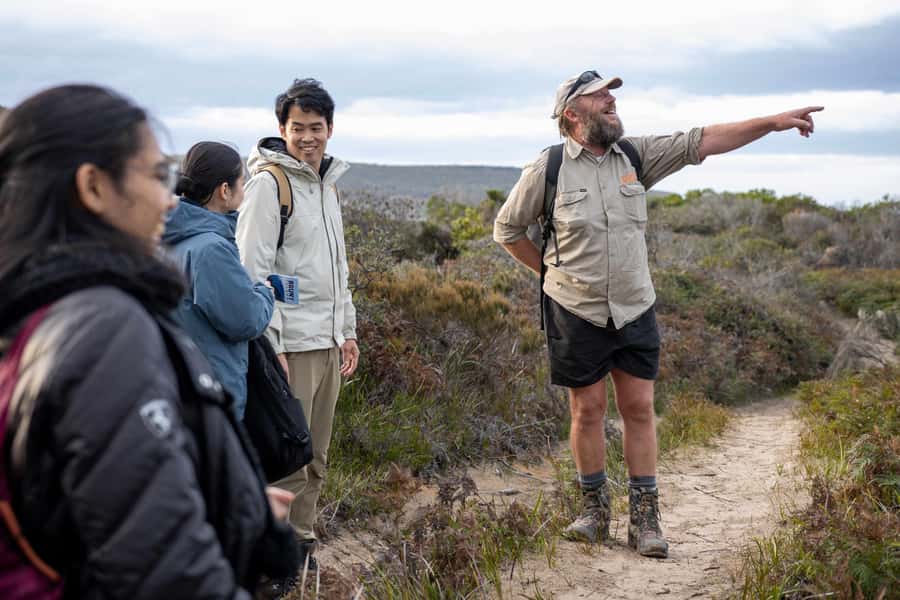 From Hobart: Bruny Island Nature & Produce Adventure Tour - Walking to Bruny Arch and Miles Beach