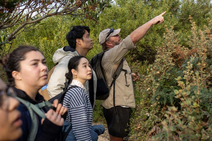 From Hobart: Bruny Island Nature & Produce Adventure Tour - The 279 steps of Truganini Lookout