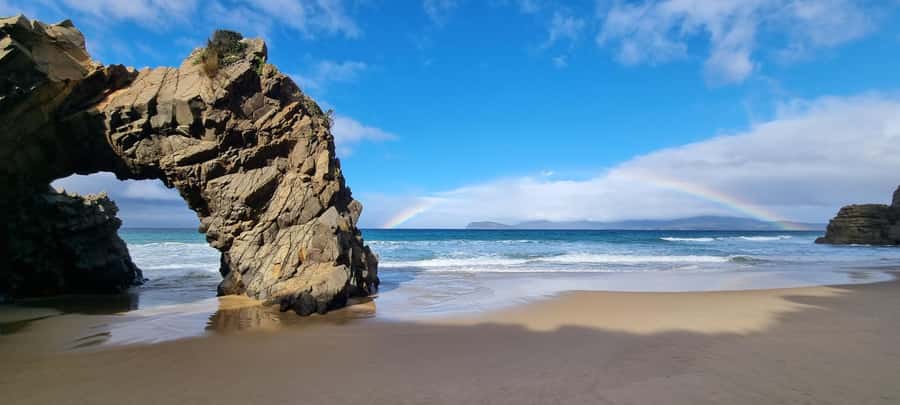 From Hobart: Bruny Island Nature & Produce Adventure Tour - The early start and ferry crossing