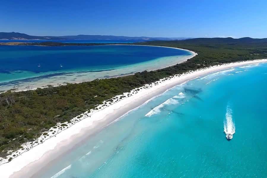 From Hobart: Day Tour to Maria Island with Bus Connection - From Brooke Street Pier to Triabunna
