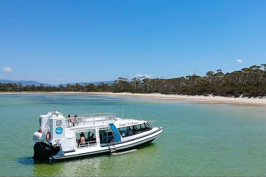 From Hobart: Day Tour to Maria Island with Bus Connection - Cruising Along Maria Island’s East Coast