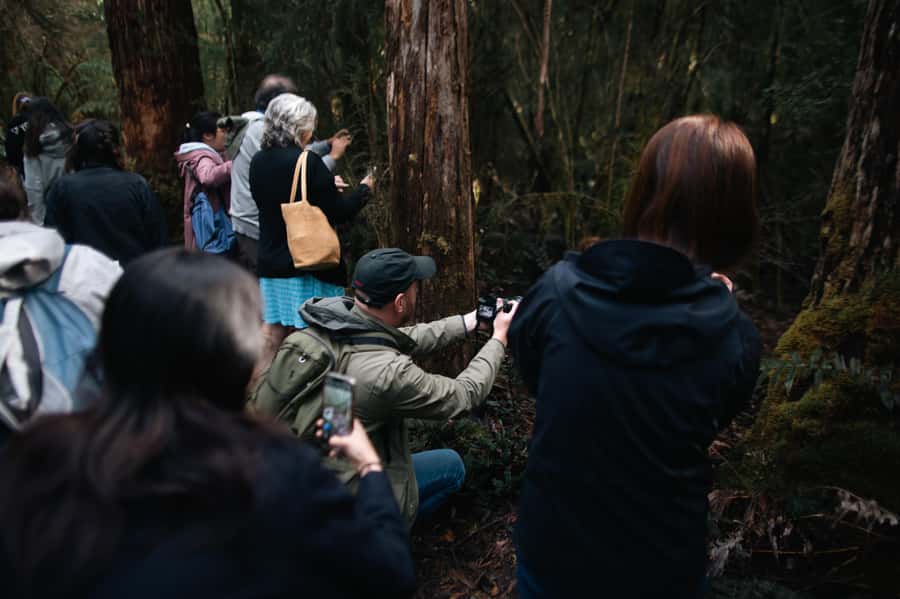 From Hobart: Full-Day Bruny Island Tour with Guide - Why Bruny Island works so well as a day trip