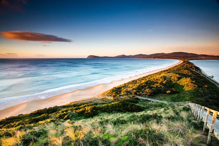 From Hobart: Full-Day Bruny Island Tour with Guide - Forest tracks, beaches, and optional swimming
