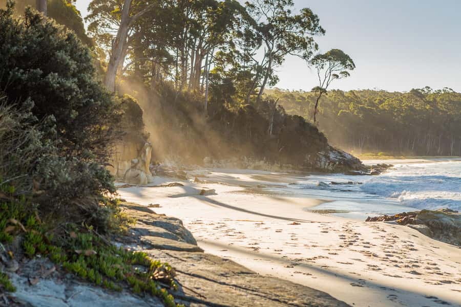 From Hobart: Full-Day Bruny Island Tour with Guide - The ferry crossing and the first views